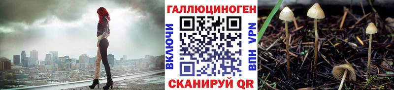 Купить где  Солигалич  Псилоцибиновые грибы Psilocybe 